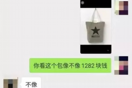 嘉善专业讨债公司，追讨消失的老赖